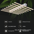 Luces de cultivo LED de 600W de 600W Lámpara de planta de 8 bar